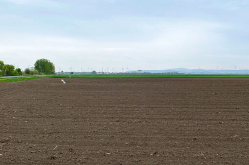 Frisch gepflügter Acker mit Wiese im Hintergrund