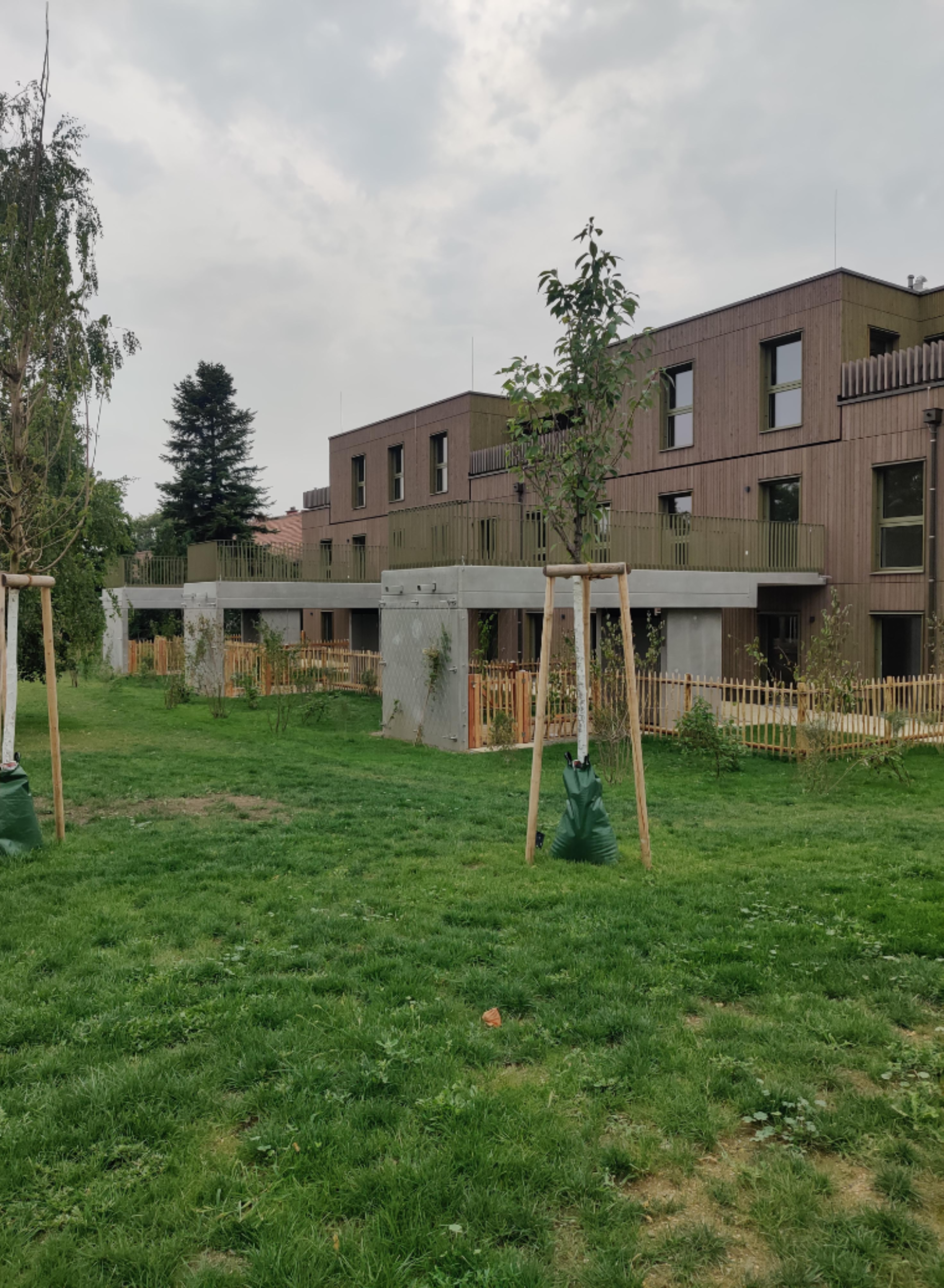 Ansichten aus dem Wienerfeld; Neubau mit kleinem, neu gepflanztem Baum davor