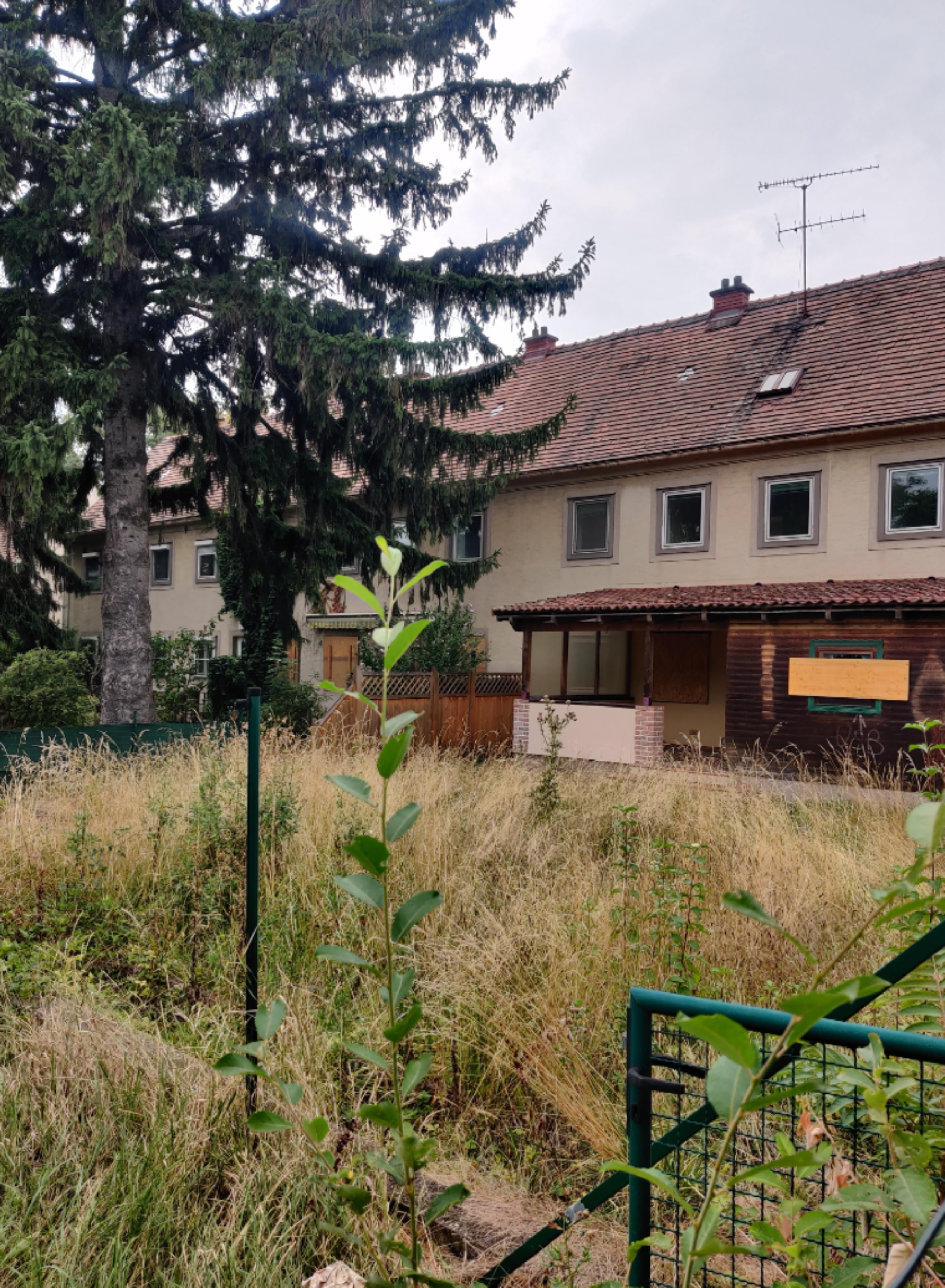 Hinterseite der Altbauten, davor ein verwilderter Garten